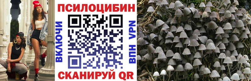 omg tor  Балаково  Галлюциногенные грибы GOLDEN TEACHER 
